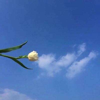 厨房历险记最新版下载