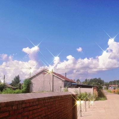 哈狗舟山3缺1app下载